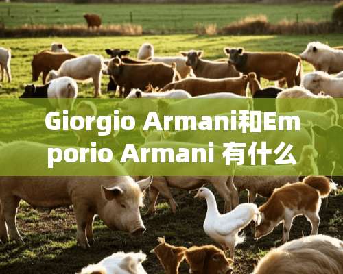 Giorgio Armani和Emporio Armani 有什么区别？