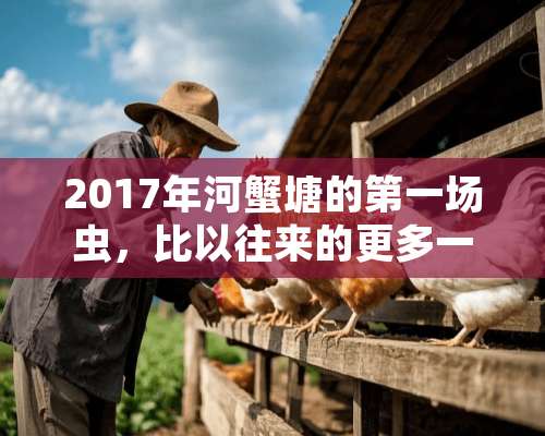 2017年河蟹塘的第一场虫，比以往来的更多一些！