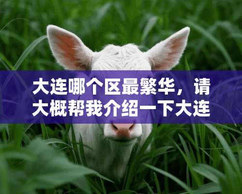 大连哪个区最繁华，请大概帮我介绍一下大连各个区的情况