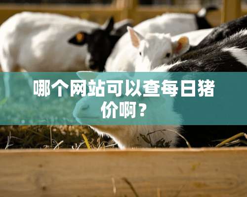 哪个网站可以查每日猪价啊？