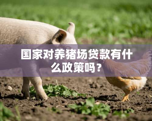 国家对养猪场贷款有什么政策吗？