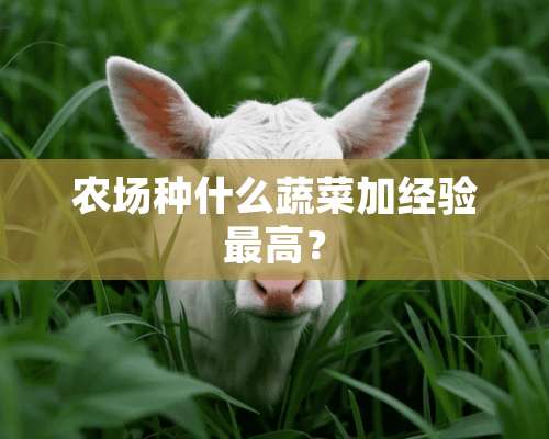 农场种什么蔬菜加经验最高？