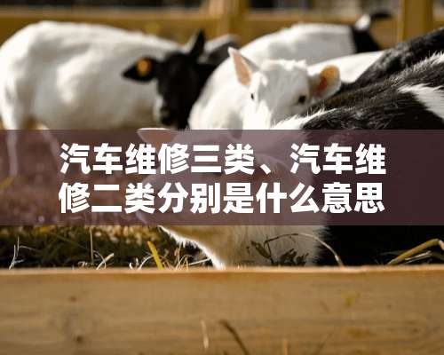 汽车维修三类、汽车维修二类分别是什么意思啊？