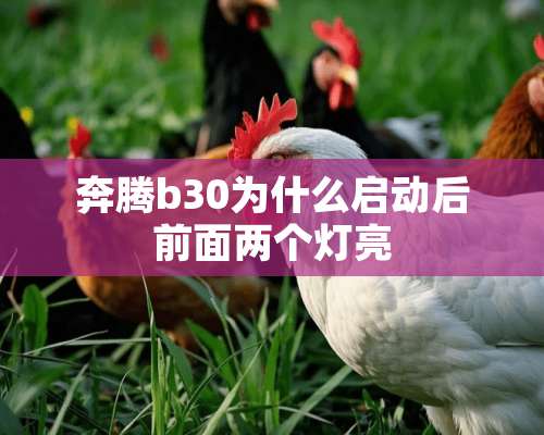 奔腾b30为什么启动后前面两个灯亮