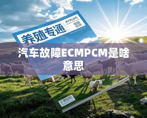 汽车故障ECMPCM是啥意思