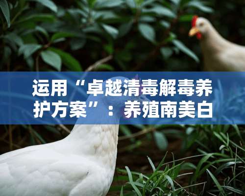 运用“卓越清毒解毒养护方案”：养殖南美白对虾稳定省心放心