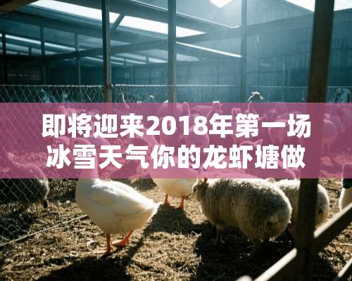 即将迎来2018年第一场冰雪天气你的龙虾塘做好准备工作了吗？