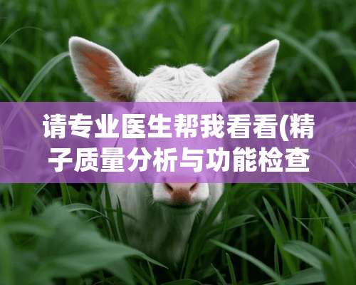 请专业医生帮我看看(**质量分析与功能检查报告)能否怀孕