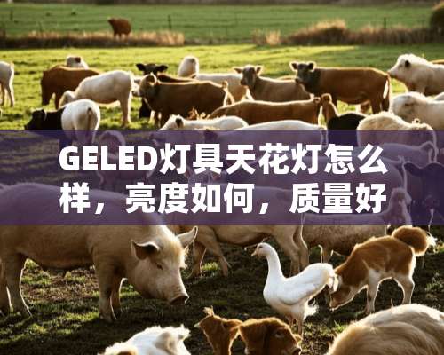 GELED灯具天花灯怎么样，亮度如何，质量好吗