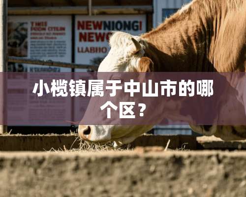 小榄镇属于中山市的哪个区？