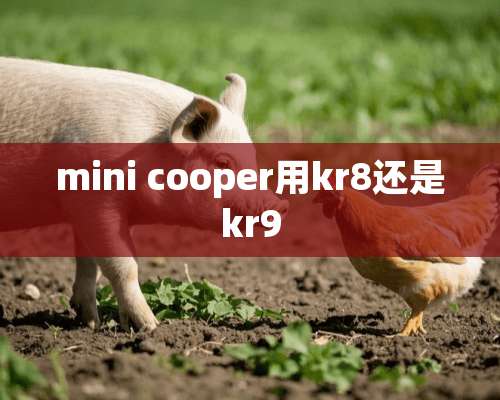 mini cooper用kr8还是kr9