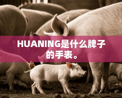 HUANING是什么牌子的手表。