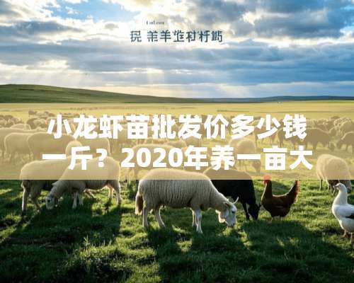 小龙虾苗批发价多少钱一斤？2020年养一亩大约赚多少钱？