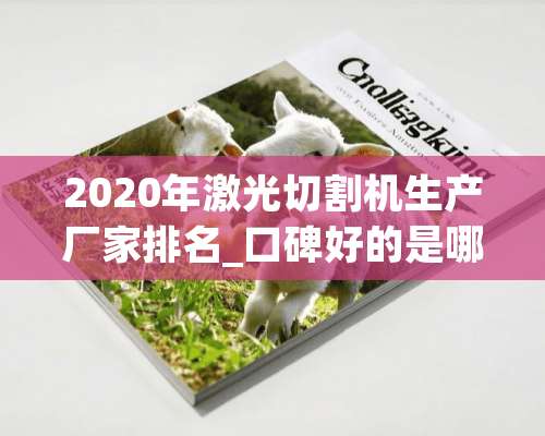 2020年激光切割机生产厂家排名_口碑好的是哪个？