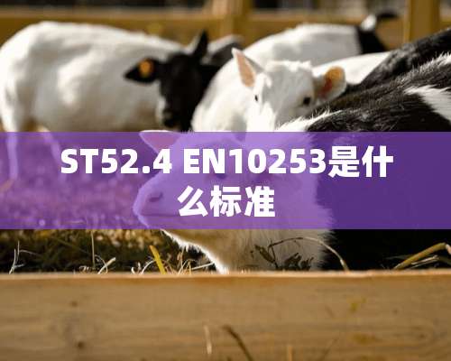 ST52.4 EN10253是什么标准