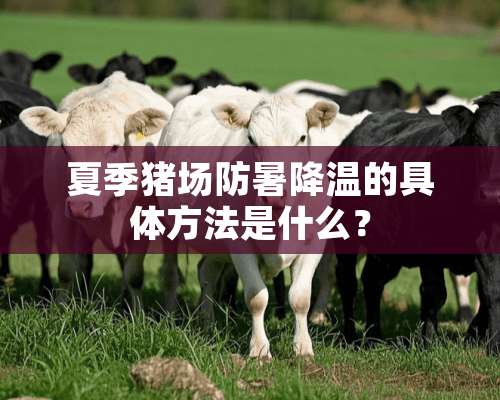 夏季猪场防暑降温的具体方法是什么？