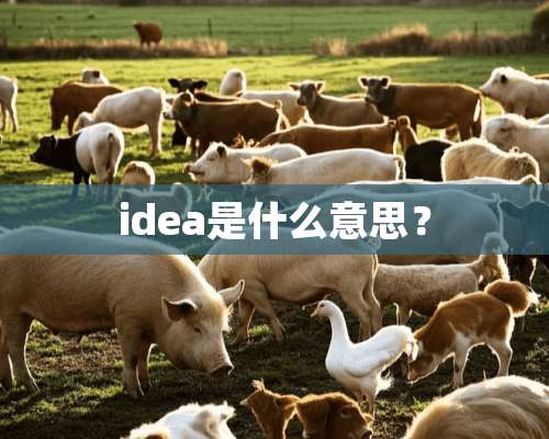 idea是什么意思？