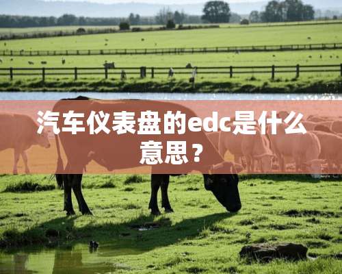 汽车仪表盘的edc是什么意思？