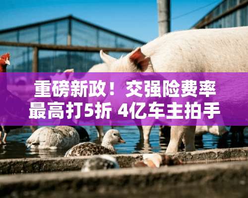 重磅新政！交强险费率最高打5折 4亿车主拍手叫好