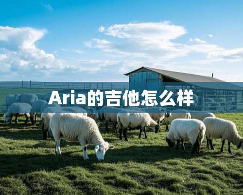 Aria的吉他怎么样