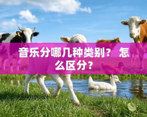 音乐分哪几种类别？ 怎么区分？