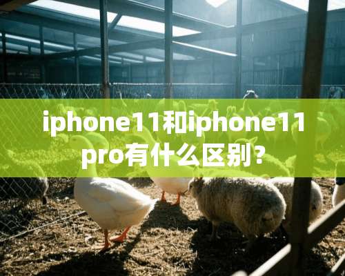 iphone11和iphone11pro有什么区别？