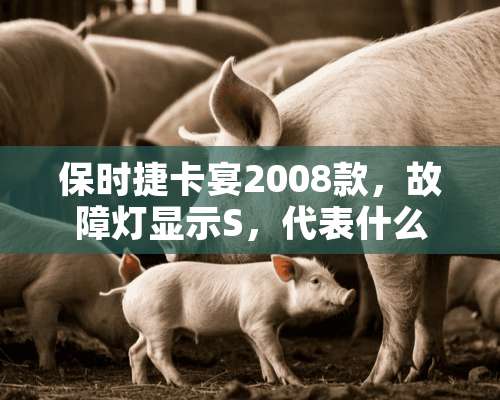 保时捷卡宴2008款，故障灯显示S，代表什么