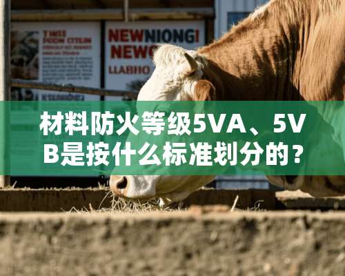 材料防火等级5VA、5VB是按什么标准划分的？