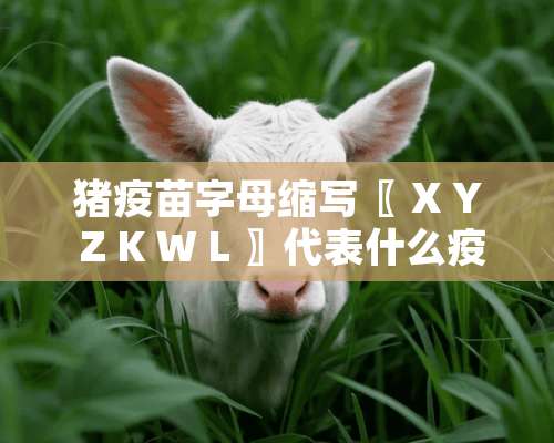 猪**字母缩写〖 X Y Z K W L 〗代表什么**？