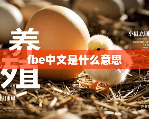 fbe中文是什么意思