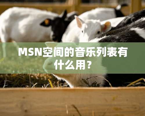 MSN空间的音乐列表有什么用？