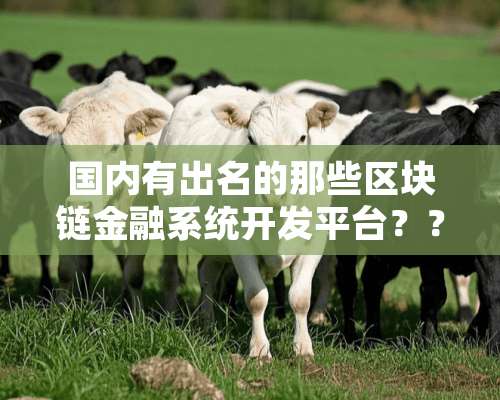 国内有出名的那些区块链金融系统开发平台？？