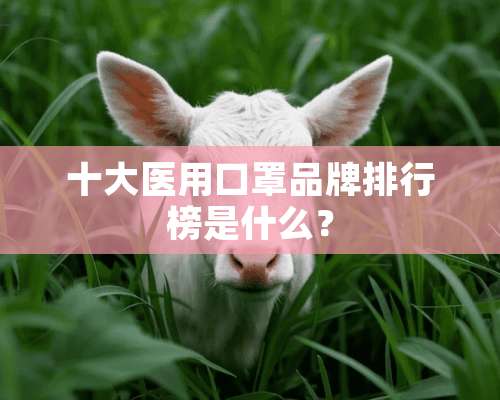 十大医用口罩品牌排行榜是什么？