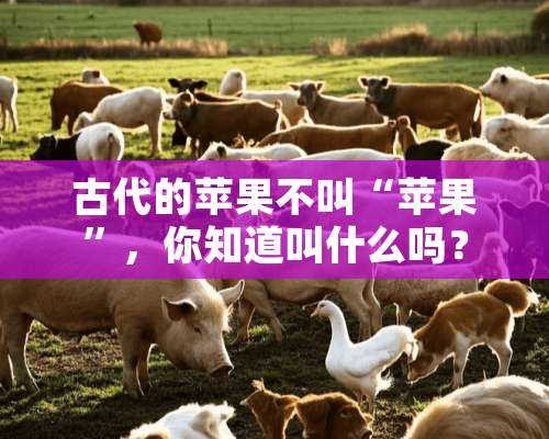 古代的苹果不叫“苹果”，你知道叫什么吗？