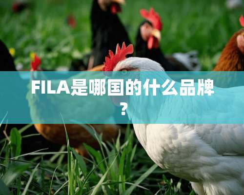 FILA是哪国的什么品牌？