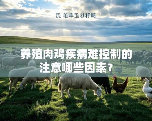 养殖肉鸡疾病难控制的注意哪些因素？