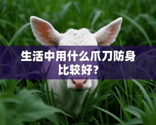 生活中用什么爪刀防身比较好？