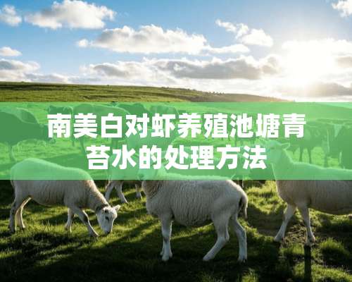 南美白对虾养殖池塘青苔水的处理方法