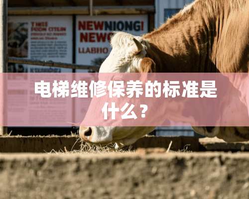 电梯维修保养的标准是什么？