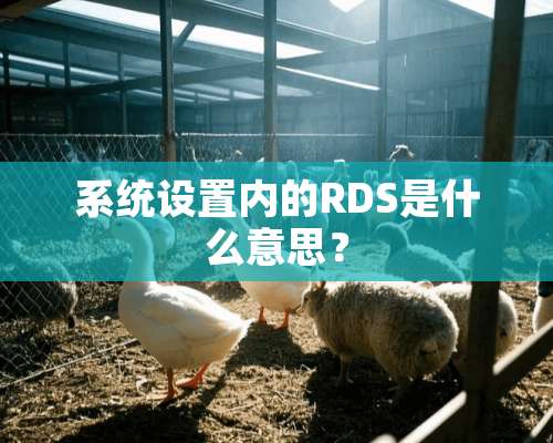 系统设置内的RDS是什么意思？