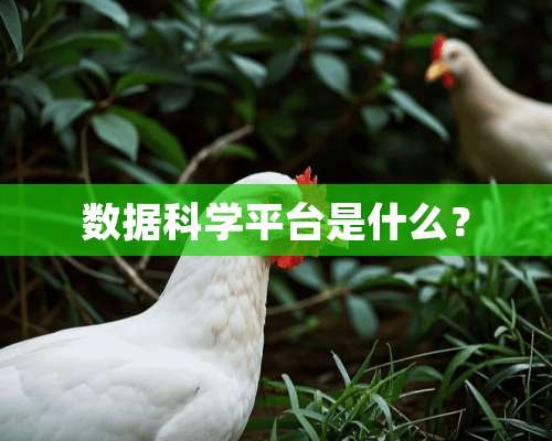 数据科学平台是什么？