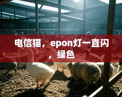 电信猫，epon灯一直闪，绿色