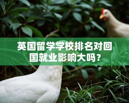 英国留学学校排名对回国就业影响大吗？