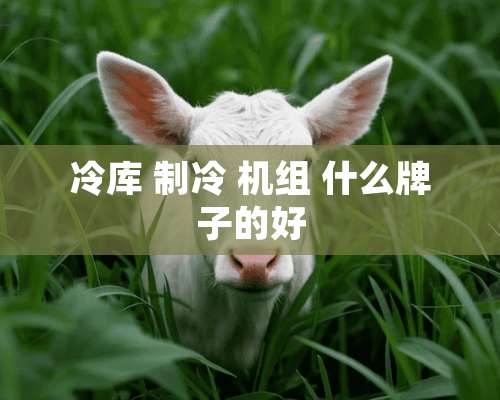 冷库 制冷 机组 什么牌子的好