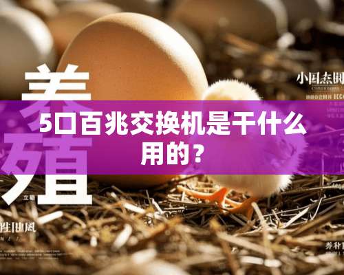 5口百兆交换机是干什么用的？