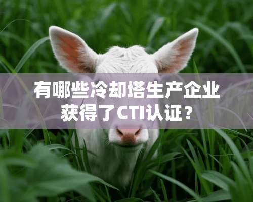 有哪些**塔生产企业获得了CTI认证？