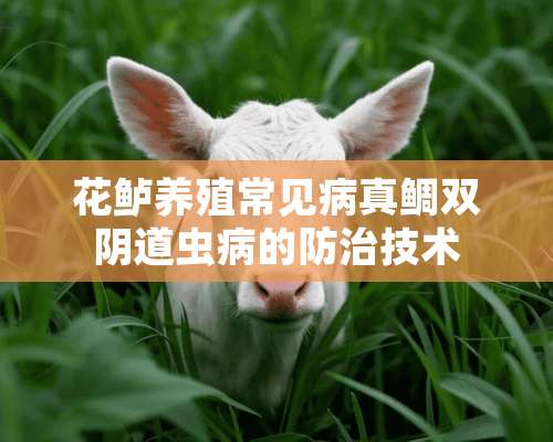 花鲈养殖常见病真鲷双*道虫病的防治技术