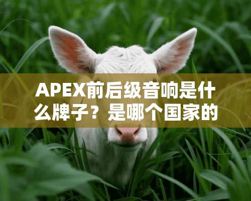 APEX前后级音响是什么牌子？是哪个国家的牌子？是哪里制造的？