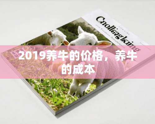 2019养牛的价格，养牛的成本