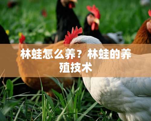 林蛙怎么养？林蛙的养殖技术